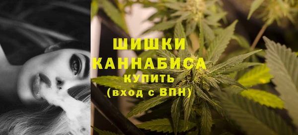 сатива Горнозаводск
