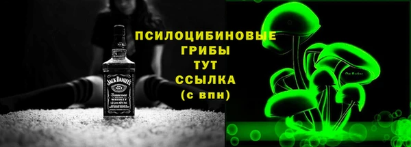 сатива Горнозаводск
