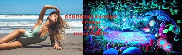 сатива Горнозаводск